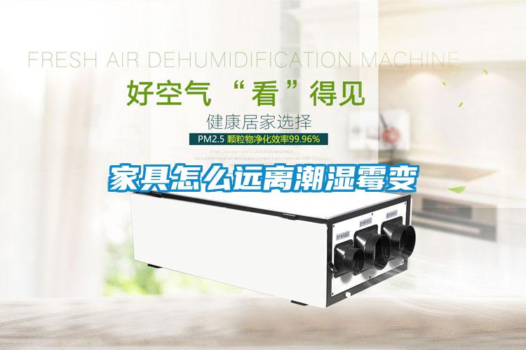 家具怎么远离潮湿霉变