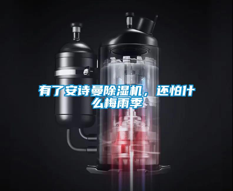 有了安诗曼除湿机,还怕什么梅雨季