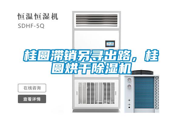 桂圆滞销另寻出路，桂圆烘干除湿机