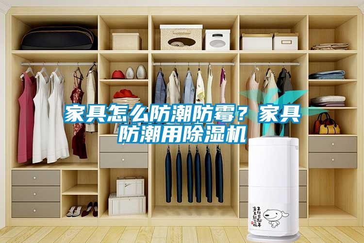家具怎么防潮防霉？家具防潮用除湿机