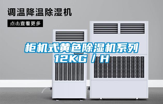 柜机式黄色除湿机系列12KG／H