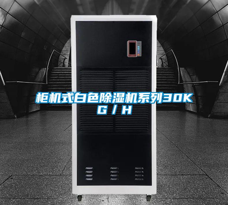 柜机式白色除湿机系列30KG／H