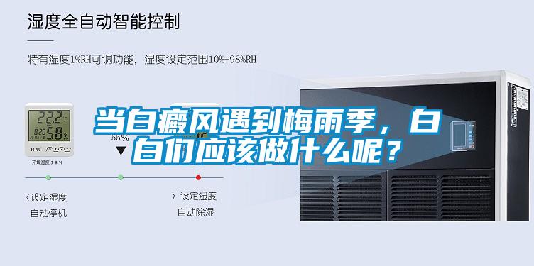 当白癜风遇到梅雨季，白白们应该做什么呢？