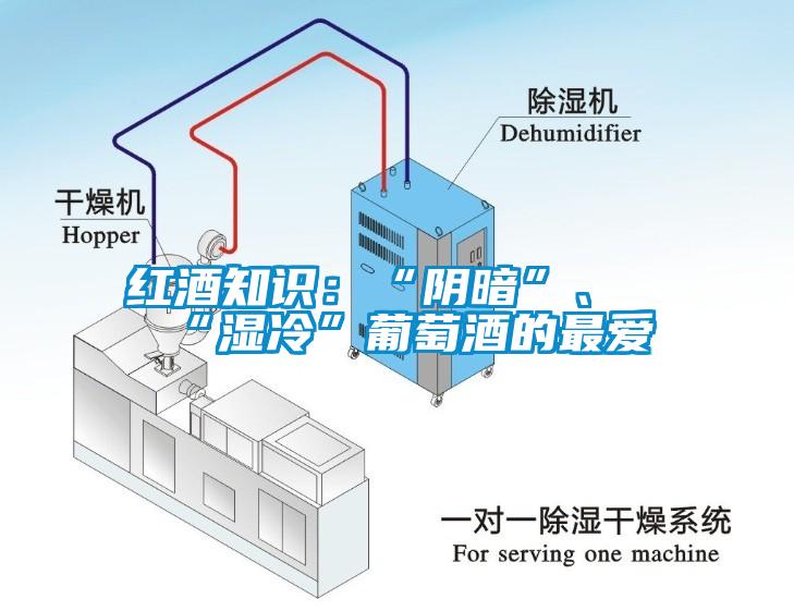 红酒知识：“阴暗”、“湿冷”葡萄酒的最爱