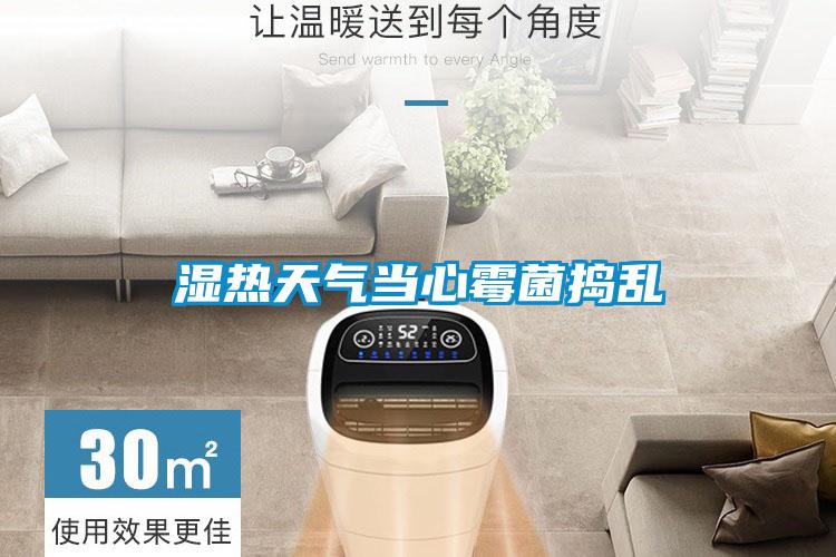 湿热天气当心霉菌捣乱