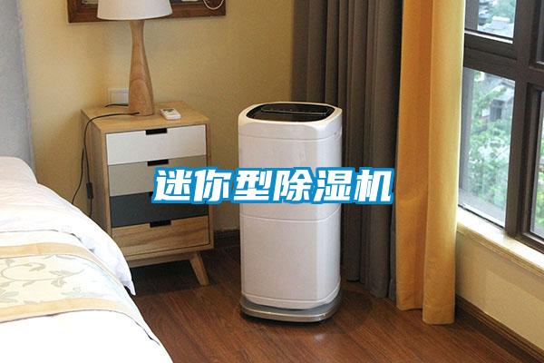 迷你型除湿机