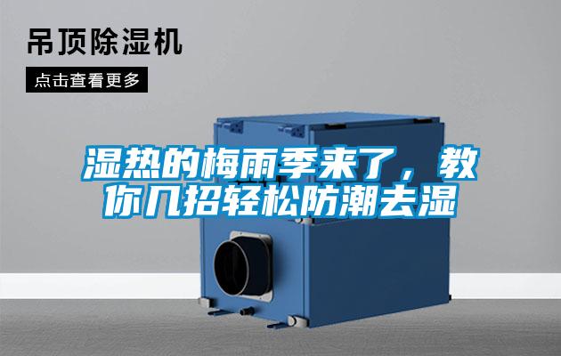 湿热的梅雨季来了，教你几招轻松防潮去湿