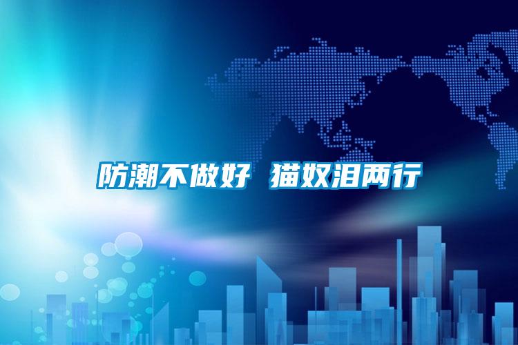 防潮不做好 猫奴泪两行
