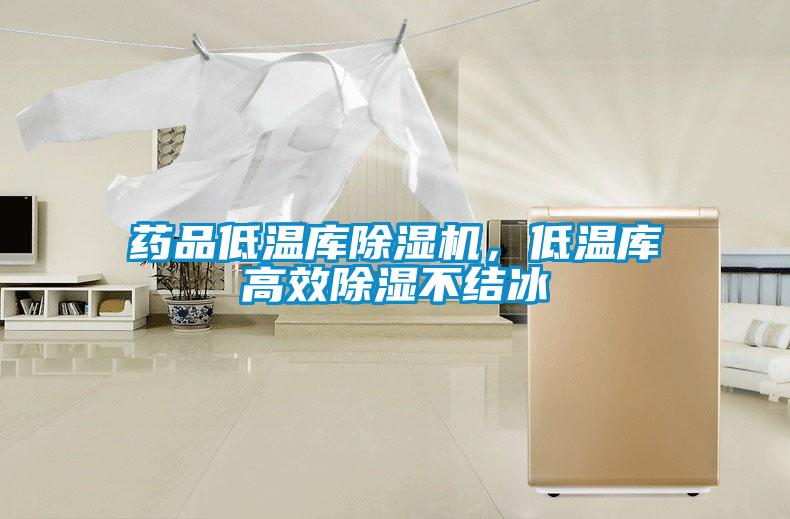 药品低温库除湿机，低温库高效除湿不结冰