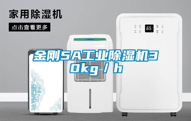 金刚5A工业除湿机30kg／h