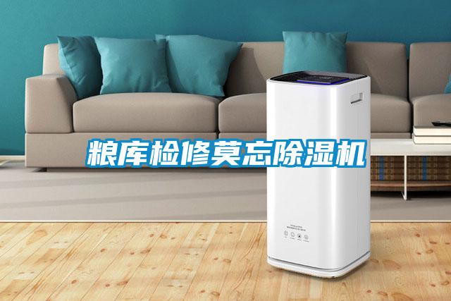 粮库检修莫忘除湿机