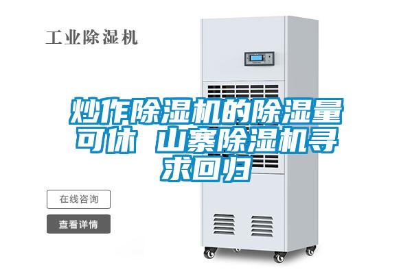 炒作除湿机的除湿量可休 山寨除湿机寻求回归