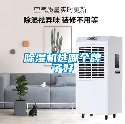 除湿机选哪个牌子好