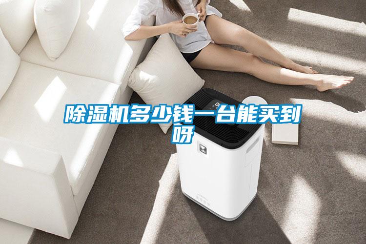除湿机多少钱一台能买到呀
