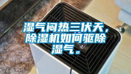 湿气闷热三伏天，除湿机如何驱除湿气。
