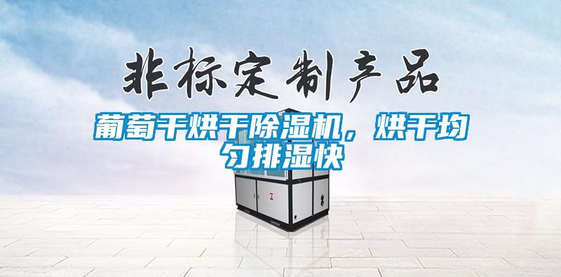 葡萄干烘干除湿机，烘干均匀排湿快