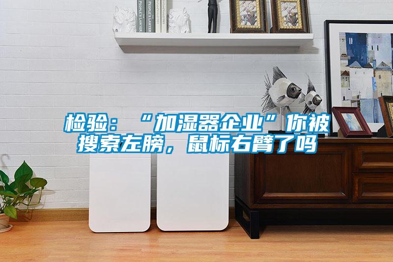检验：“加湿器企业”你被搜索左膀，鼠标右臂了吗