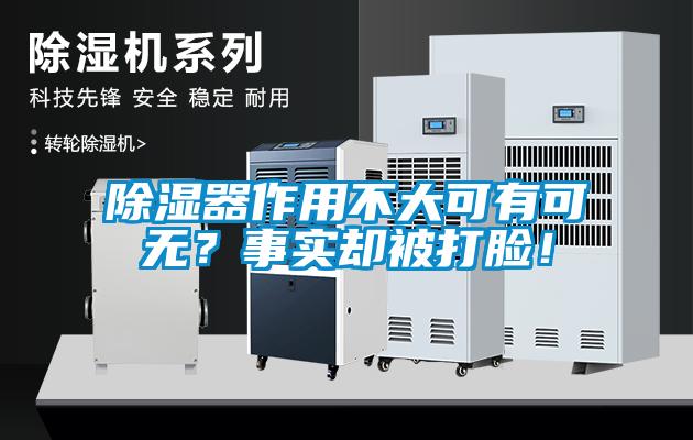 除湿器作用不大可有可无？事实却被打脸！