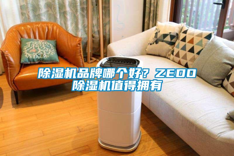 除湿机品牌哪个好？ZEDO除湿机值得拥有