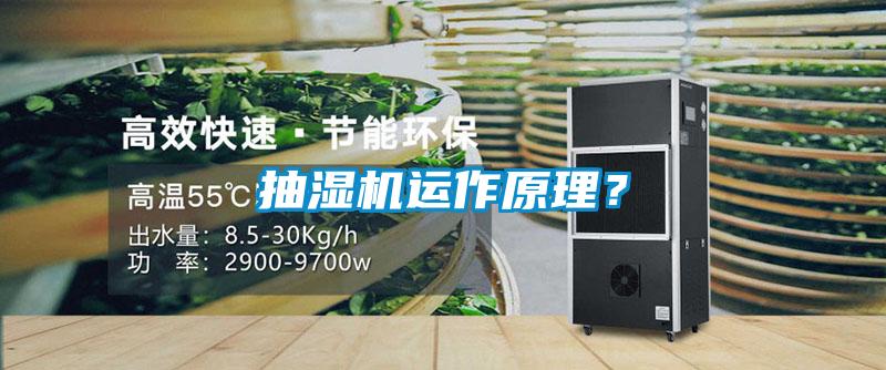 抽湿机运作原理？