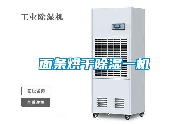 面条烘干除湿一机