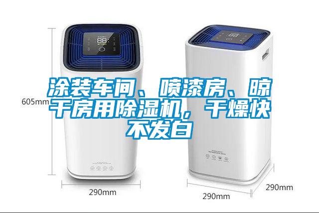 涂装车间、喷漆房、晾干房用除湿机，干燥快不发白
