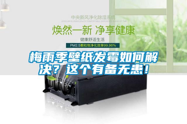 梅雨季壁纸发霉如何解决？这个有备无患！