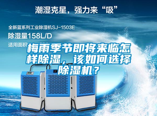 梅雨季节即将来临怎样除湿，该如何选择除湿机？