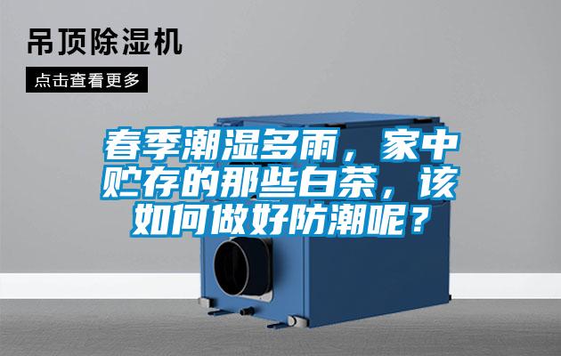 春季潮湿多雨，家中贮存的那些白茶，该如何做好防潮呢？