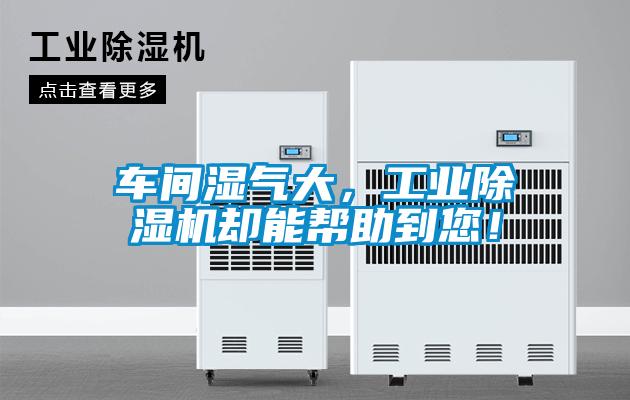 车间湿气大，工业除湿机却能帮助到您！