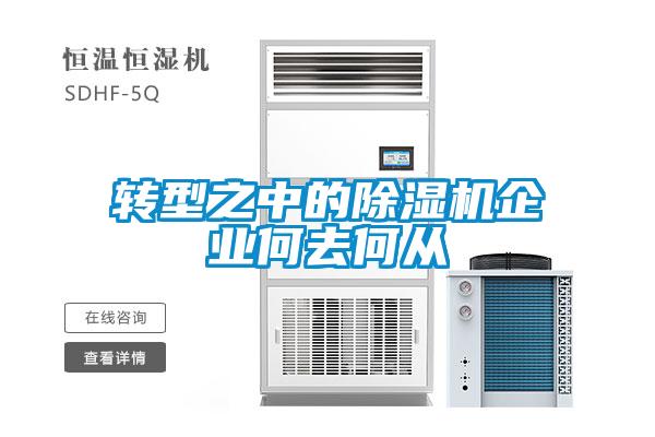 转型之中的除湿机企业何去何从