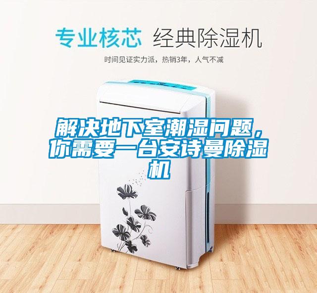 解决地下室潮湿问题，你需要一台安诗曼除湿机