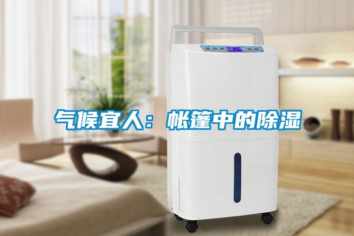 气候宜人：帐篷中的除湿
