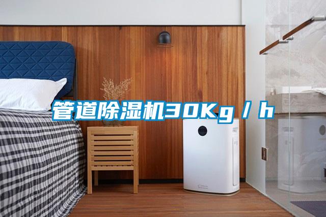 管道除湿机30Kg／h