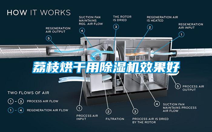 荔枝烘干用除湿机效果好