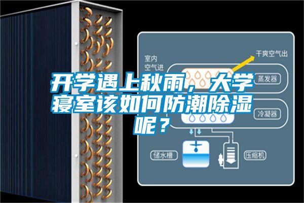 开学遇上秋雨，大学寝室该如何防潮除湿呢？