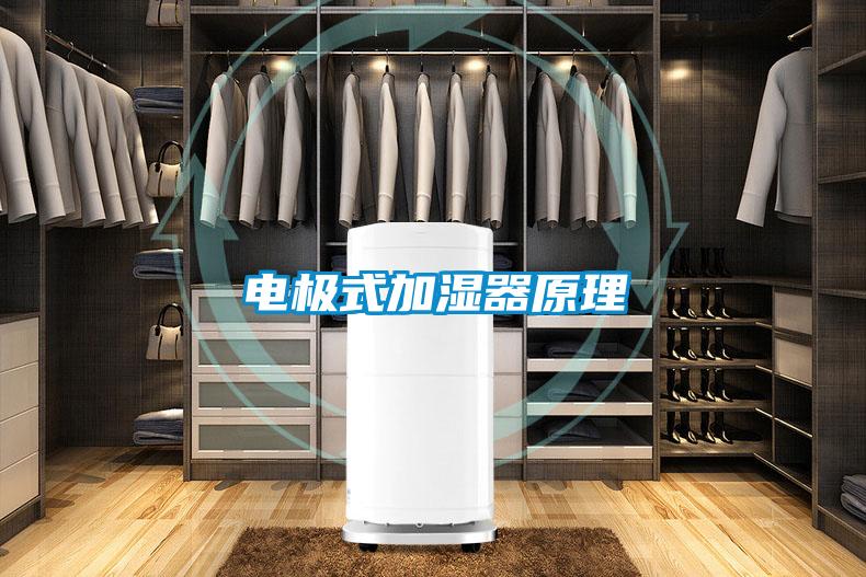 电极式加湿器原理