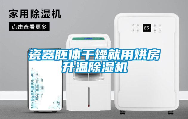 瓷器胚体干燥就用烘房升温除湿机