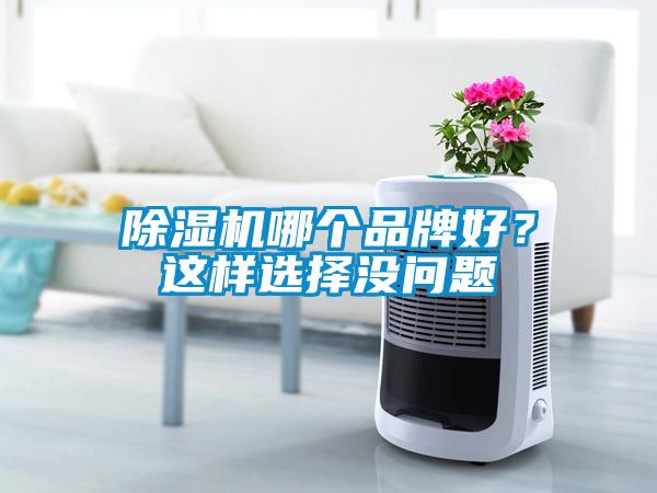 除湿机哪个品牌好？这样选择没问题