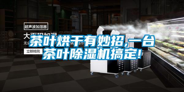 茶叶烘干有妙招,一台茶叶除湿机搞定!