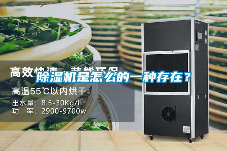 除湿机是怎么的一种存在？