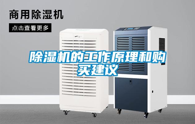 除湿机的工作原理和购买建议