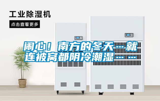 闹心！南方的冬天…就连被窝都阴冷潮湿……
