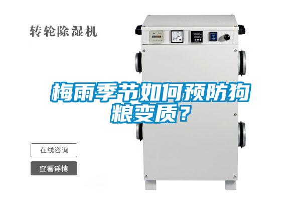 梅雨季节如何预防狗粮变质？