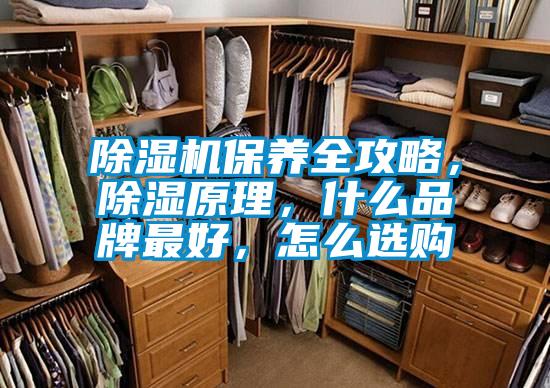 除湿机保养全攻略，除湿原理，什么品牌最好，怎么选购