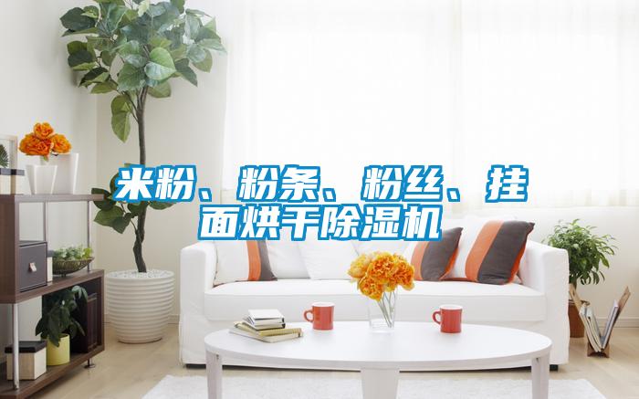 米粉、粉条、粉丝、挂面烘干除湿机