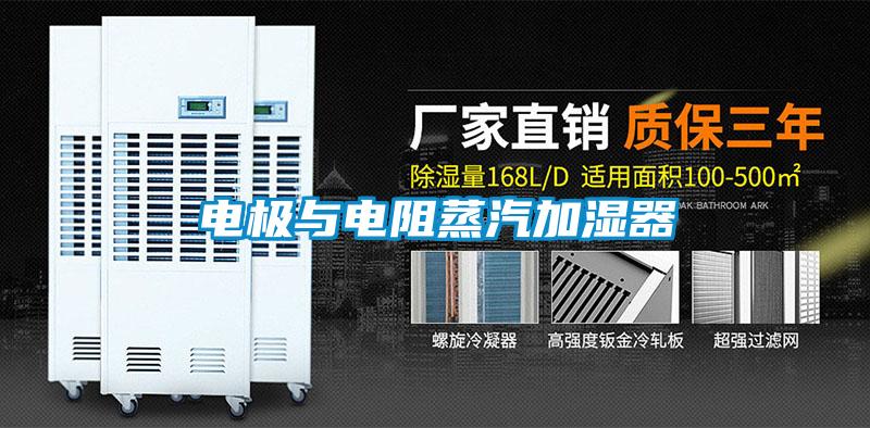 电极与电阻蒸汽加湿器