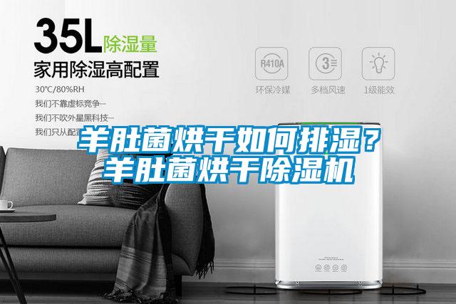 羊肚菌烘干如何排湿？羊肚菌烘干除湿机