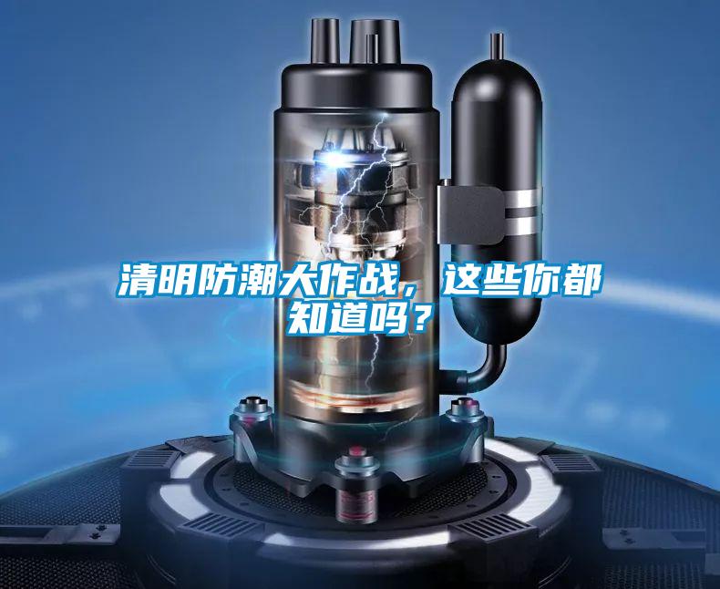 清明防潮大作战，这些你都知道吗？