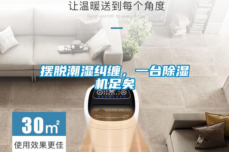 摆脱潮湿纠缠，一台除湿机足矣